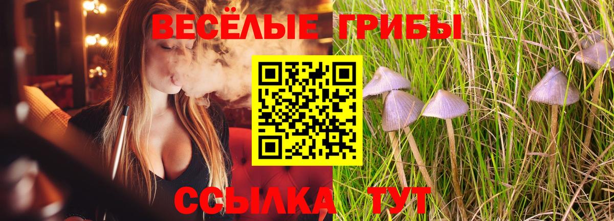 Железногорск  Галлюциногенные грибы Psilocybe  Вход с VPN 